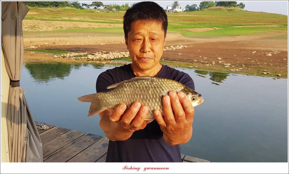 한버들 435 cm 및 명서제일사오리후산리 오름수위 전 소식 (조황조행기 - 특파원조황)