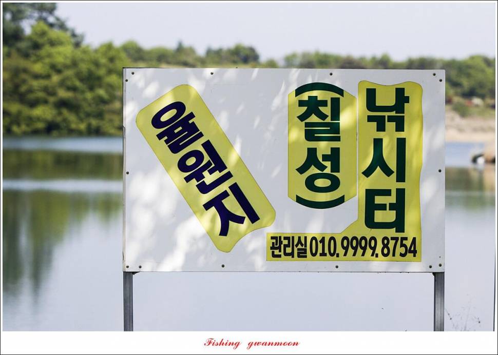 추평지 4 짜화곡지 4 짜칠성지 4 짜목벌 마릿수 월척 (조황조행기 - 특파원조황)