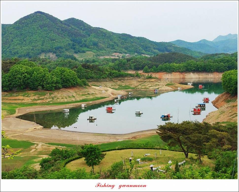돌감 4 짜화곡지 4 짜 마릿수 조황 (조황조행기 - 특파원조황)
