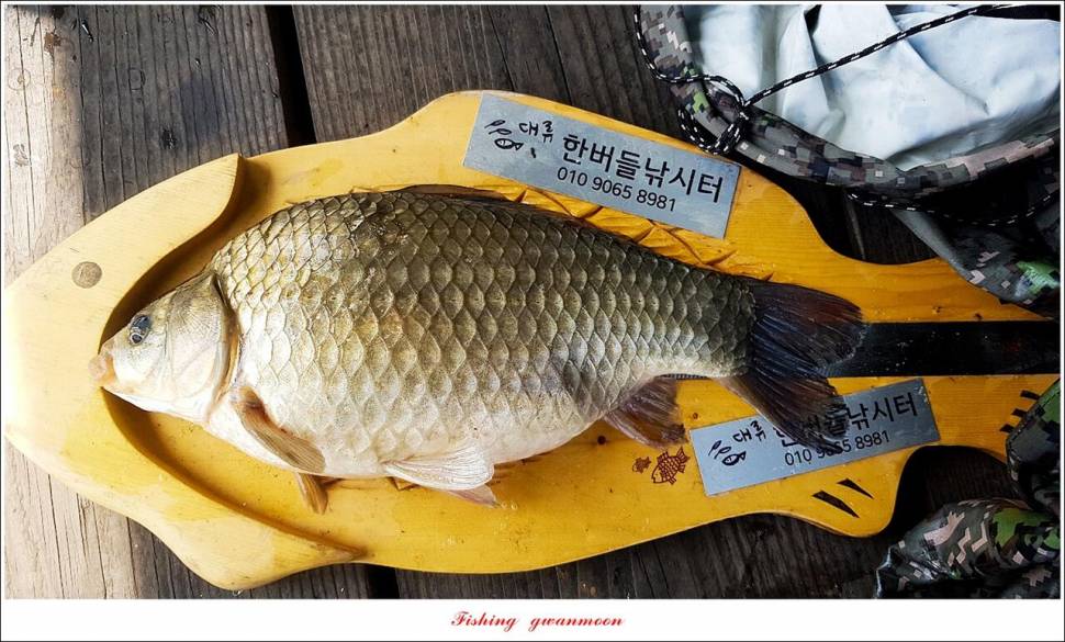 한버들 4 짜목벌 4 짜화곡지 4 짜달천강 4 짜 (조황조행기 - 특파원조황)