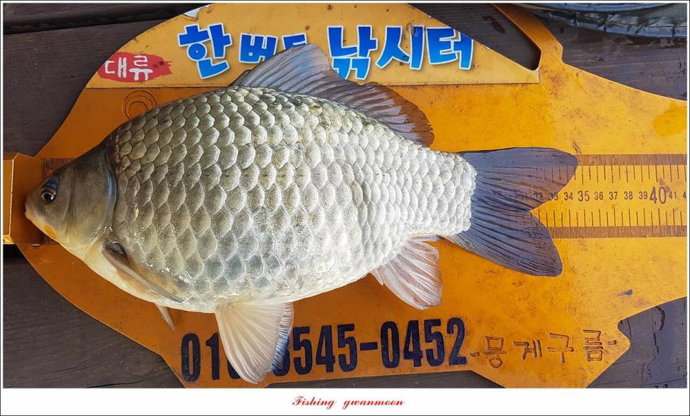 신리 4 짜 7 수실리곡 4 짜 4 수한버들 4 짜 3 수 (조황조행기 - 특파원조황)