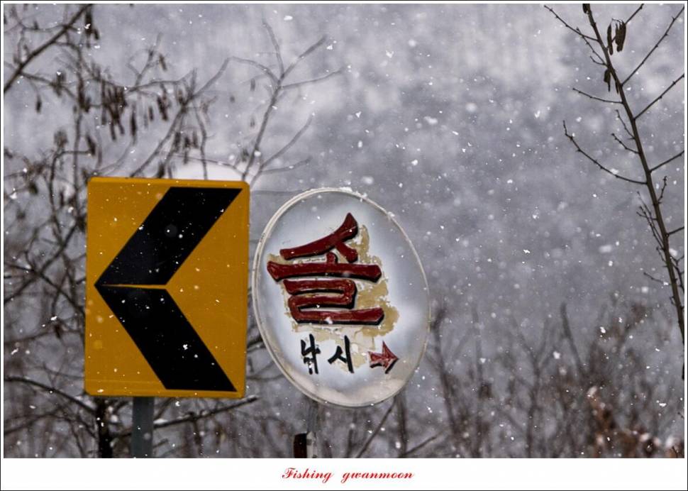 솔 월척 조황 (조황조행기 - 특파원조황)