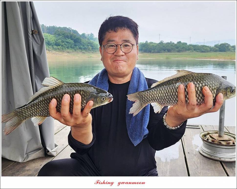 명서한버들 조황 소식 (조황조행기 - 특파원조황)
