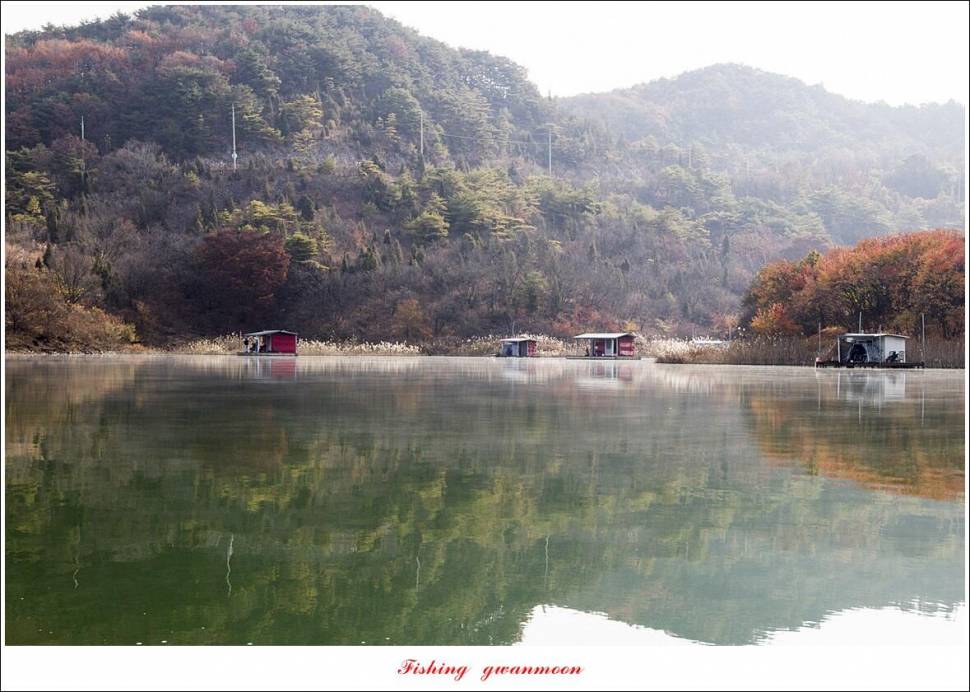 돌감 4 짜달천강대제지 4 짜 조황 (조황조행기 - 특파원조황)