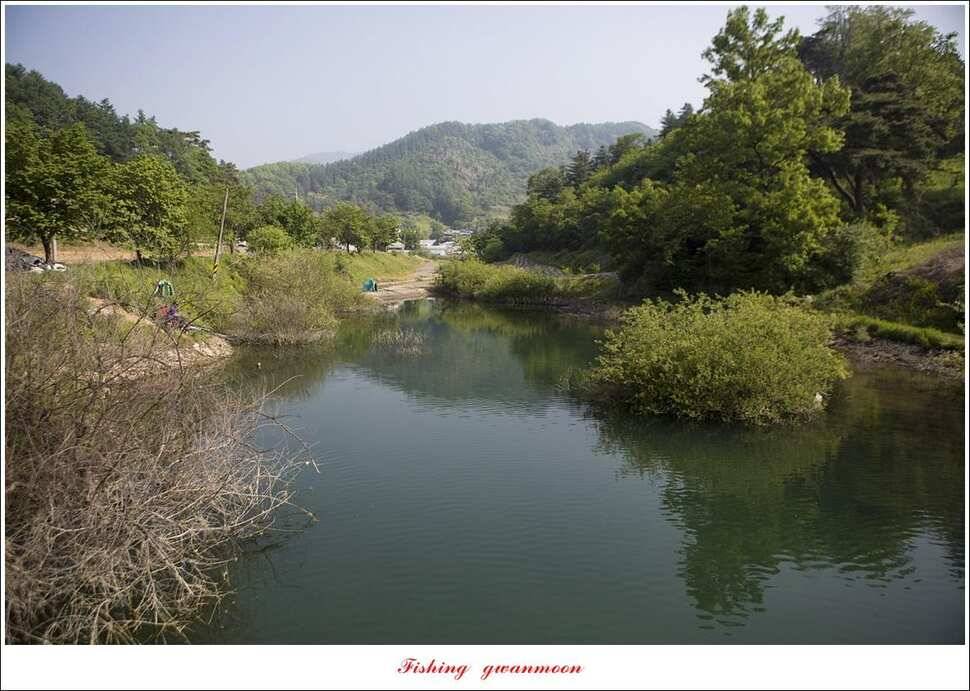 추평지 47 cm화곡지칠성지 조항 (조황조행기 - 특파원조황)