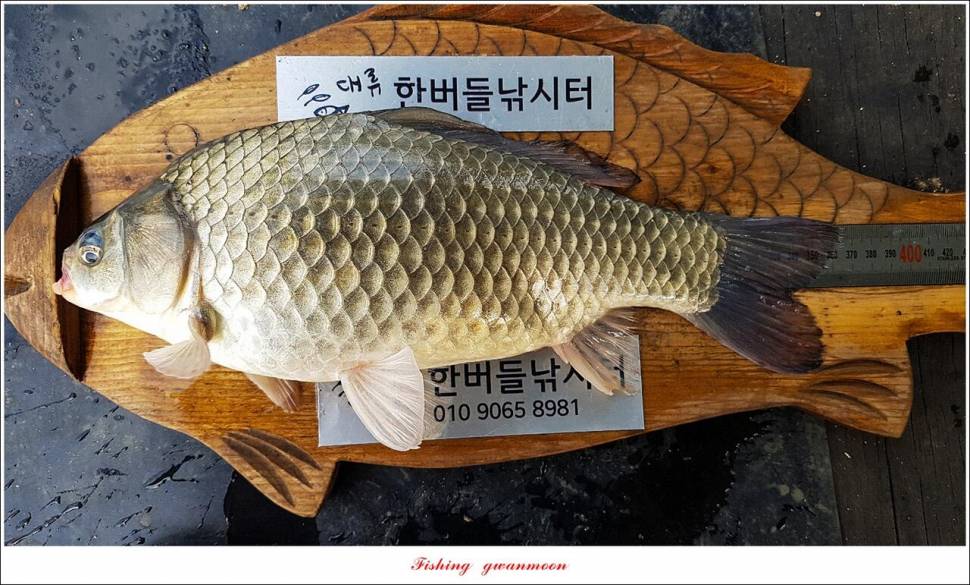 한버들 4 짜목벌 4 짜화곡지 4 짜달천강 4 짜 (조황조행기 - 특파원조황)