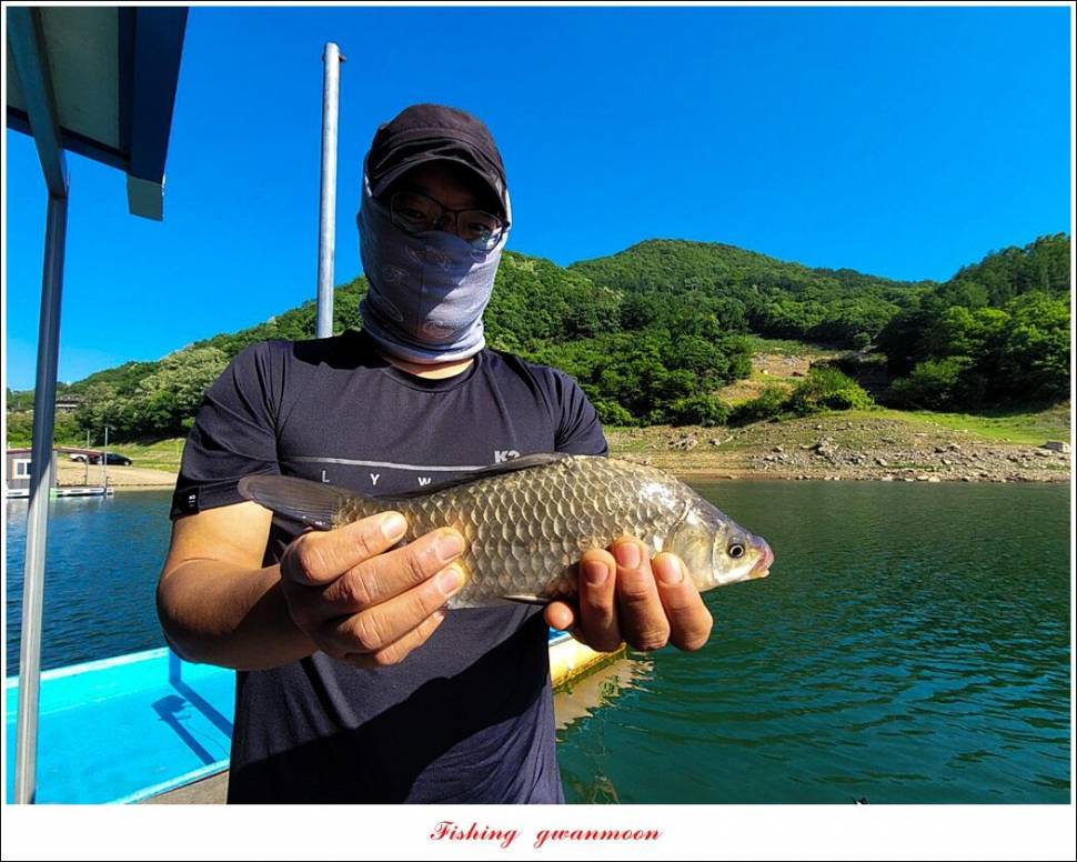 목벌 43 cm37 cm소류지 4 짜솔 낚시터 월척화곡지 대물 조황 (조황조행기 - 특파원조황)