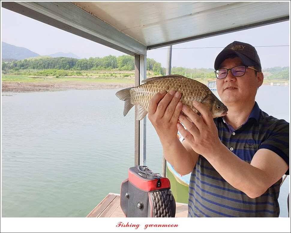제일 395 cm돌감 37 cm 및 월척 조황 (조황조행기 - 특파원조황)