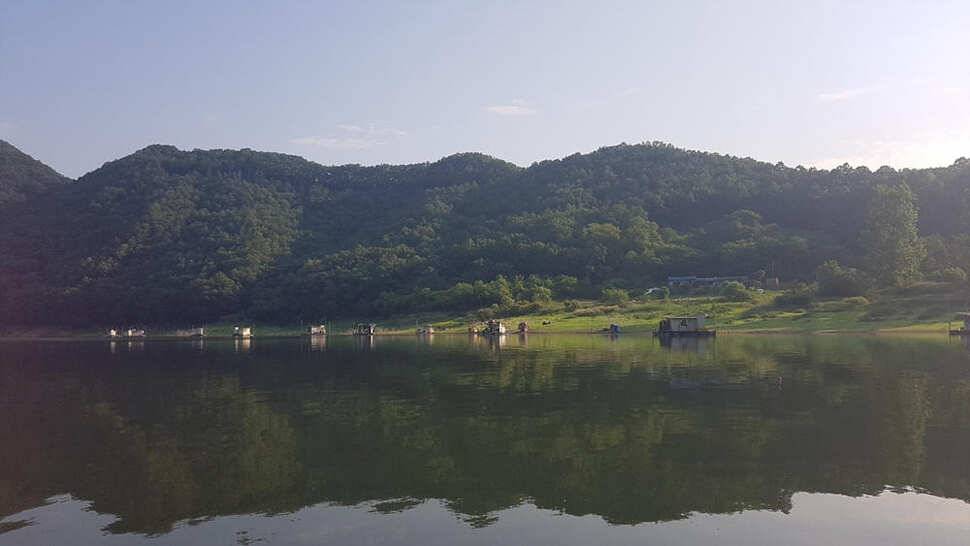 하천 4짜에 마릿수도 대박목벌도 4짜명서에도 꾸준한 조황 (조황조행기 - 특파원조황)