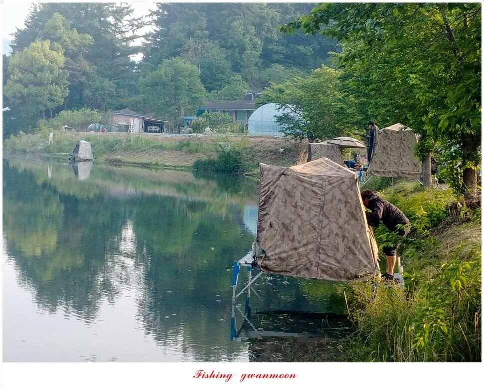 달천강화곡지 사짜칠성지 사짜 조황 (조황조행기 - 특파원조황)
