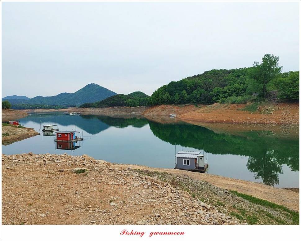 돌감 4 짜화곡지 4 짜 마릿수 조황 (조황조행기 - 특파원조황)