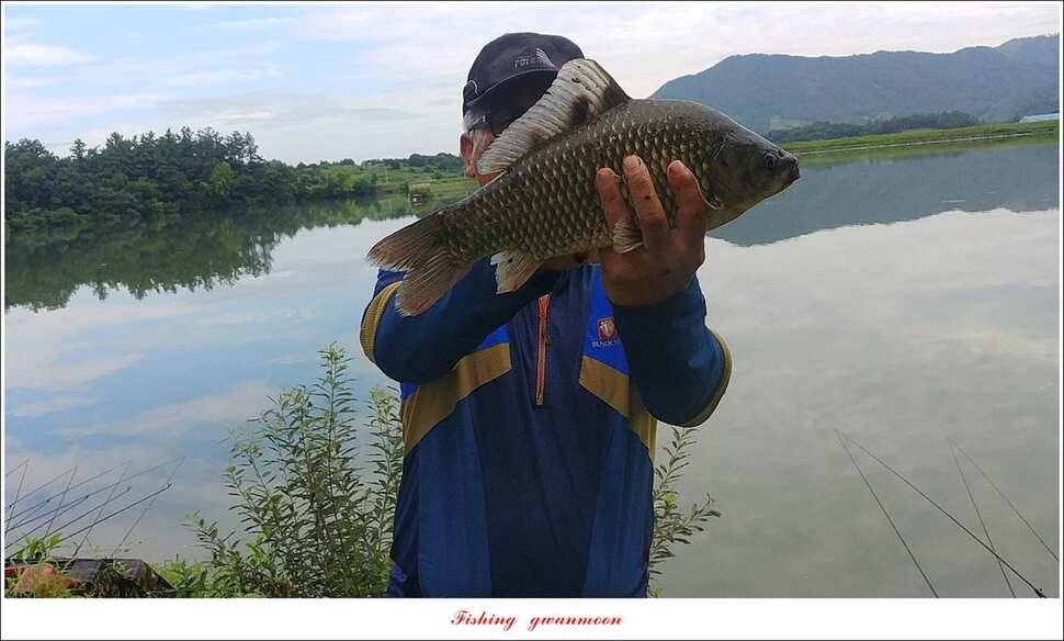 소이지 5 짜신매 4 짜칠성지 월척 조황 (조황조행기 - 특파원조황)