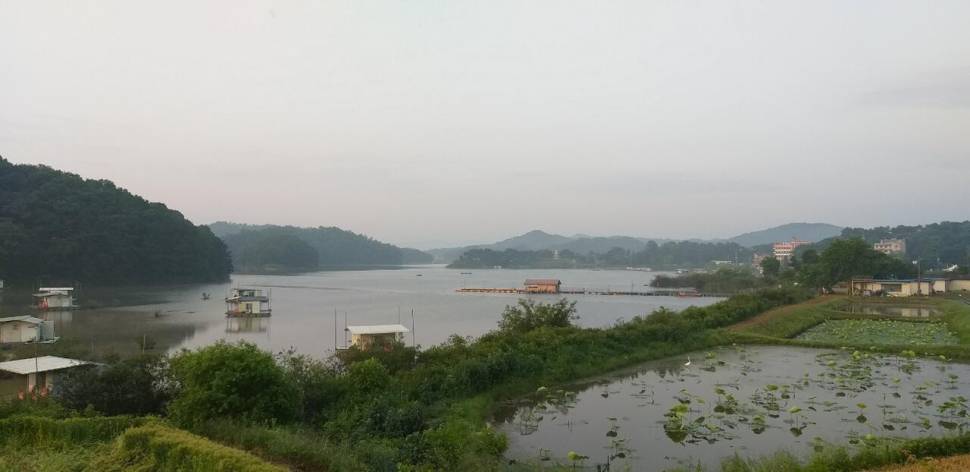 계속되는 호황의 모습고삼지 (조황조행기 - 특파원조황)