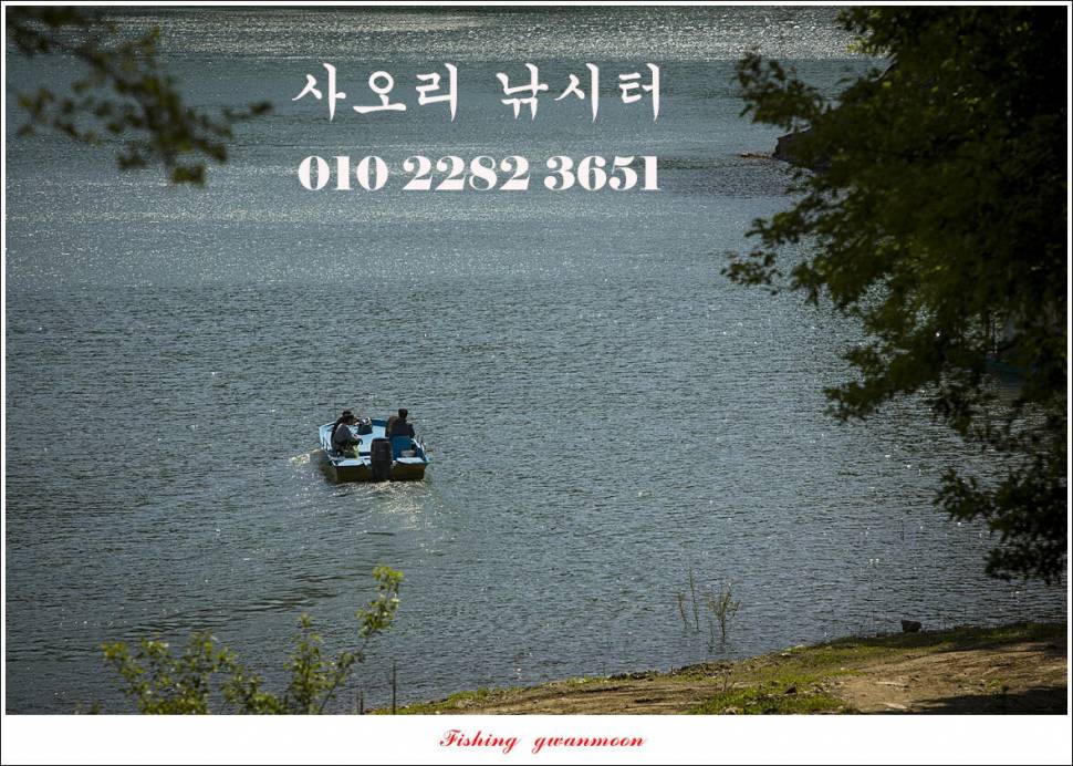 사오리 4 짜 조황 (조황조행기 - 특파원조황)