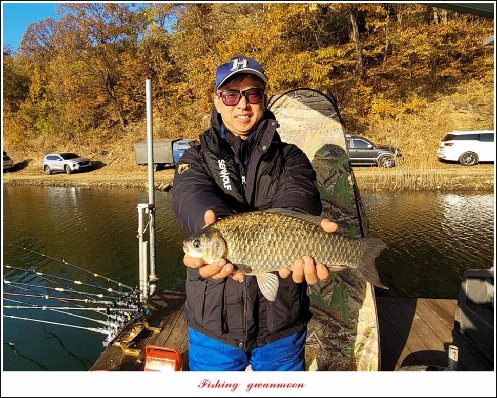 목벌 42 cm신리 41 cm408 cm실리곡 39 cm38 cm대물 조황 (조황조행기 - 특파원조황)