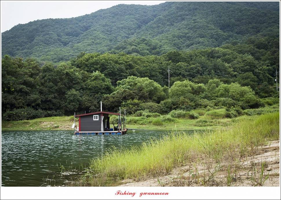 한버들 455 cm솔 415 cm제일 월척 조황 (조황조행기 - 특파원조황)