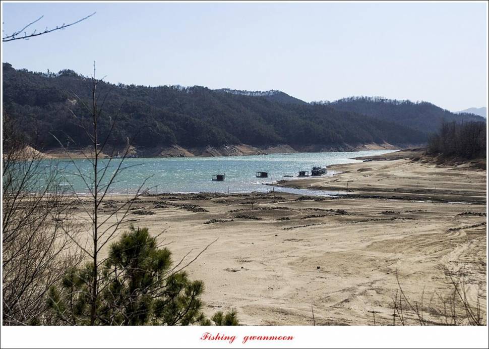 충주호 첫 월척칠성지매전지화곡지 오픈 (조황조행기 - 특파원조황)