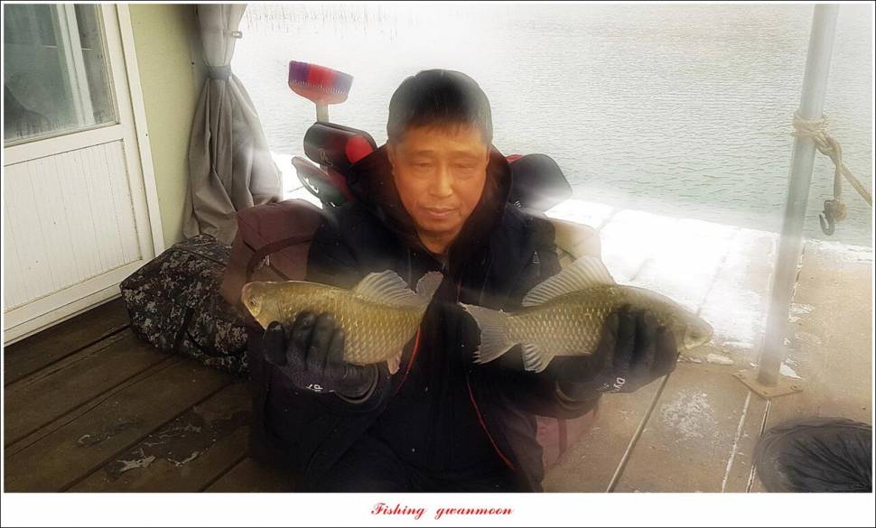 돌감 최대어 이벤트한버들 허리급 월척 조황 (조황조행기 - 특파원조황)