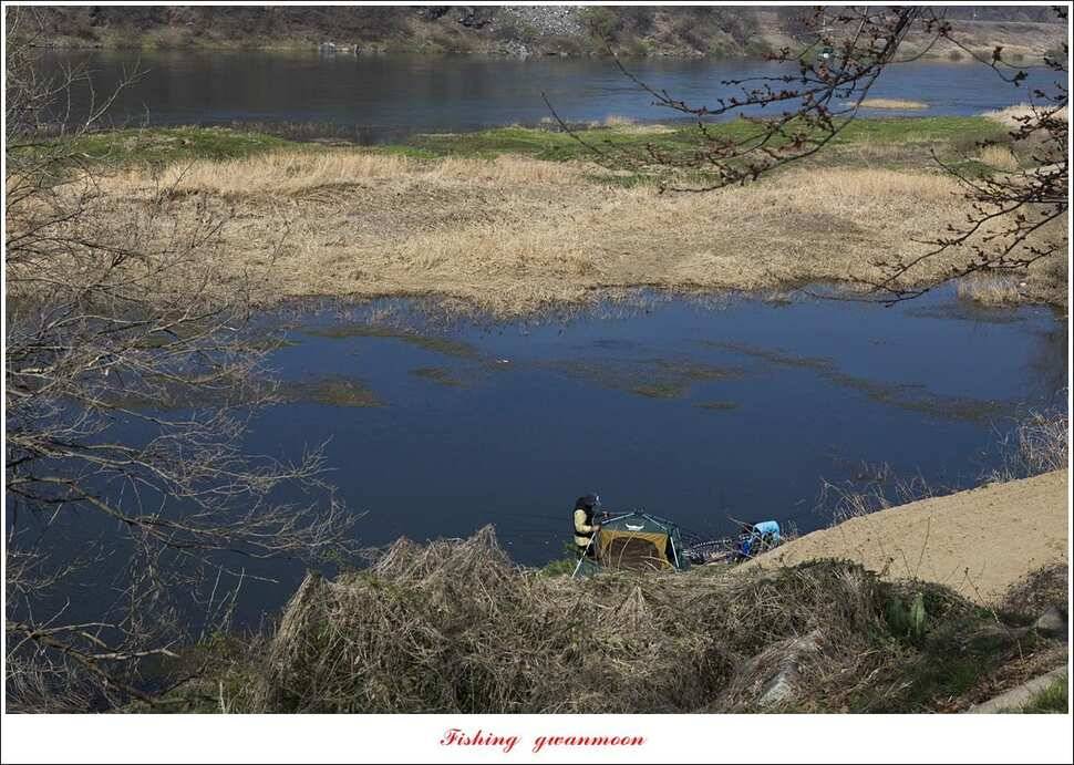 돌감 좌대추평지대제지 현황 (조황조행기 - 특파원조황)