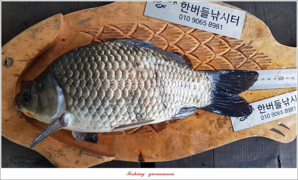 한버들 4 짜 2 수신리 4 짜명서 4 짜 및 충주호 노지 현황 (조황조행기 - 특파원조황)