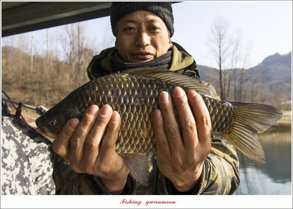 솔 385 cm 외 돌감 월척 조황 (조황조행기 - 특파원조황)