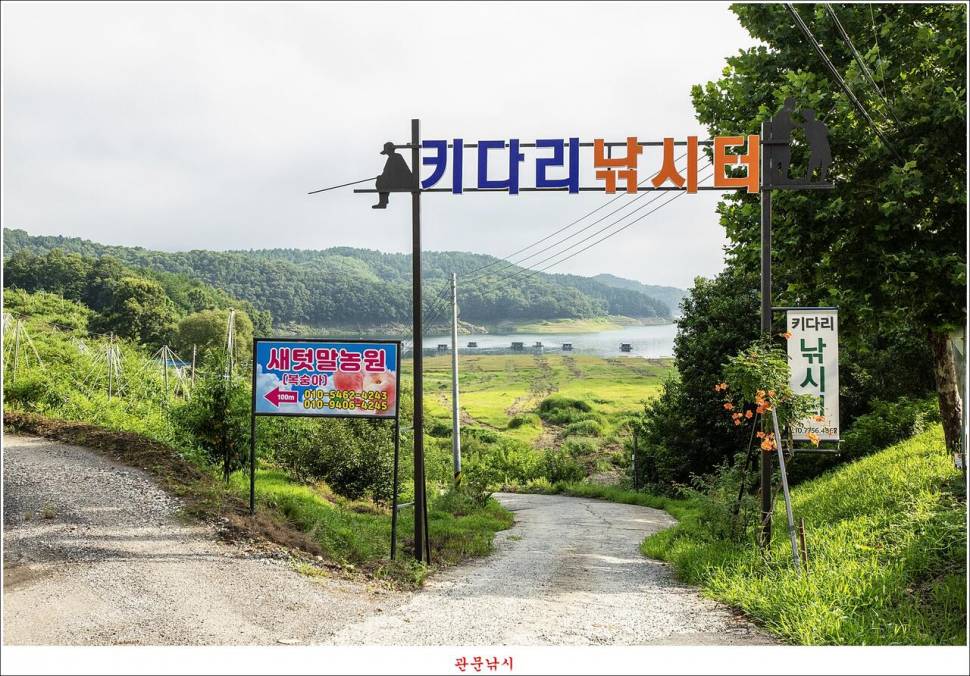 키다리 4 짜 대물 조황 (조황조행기 - 특파원조황)