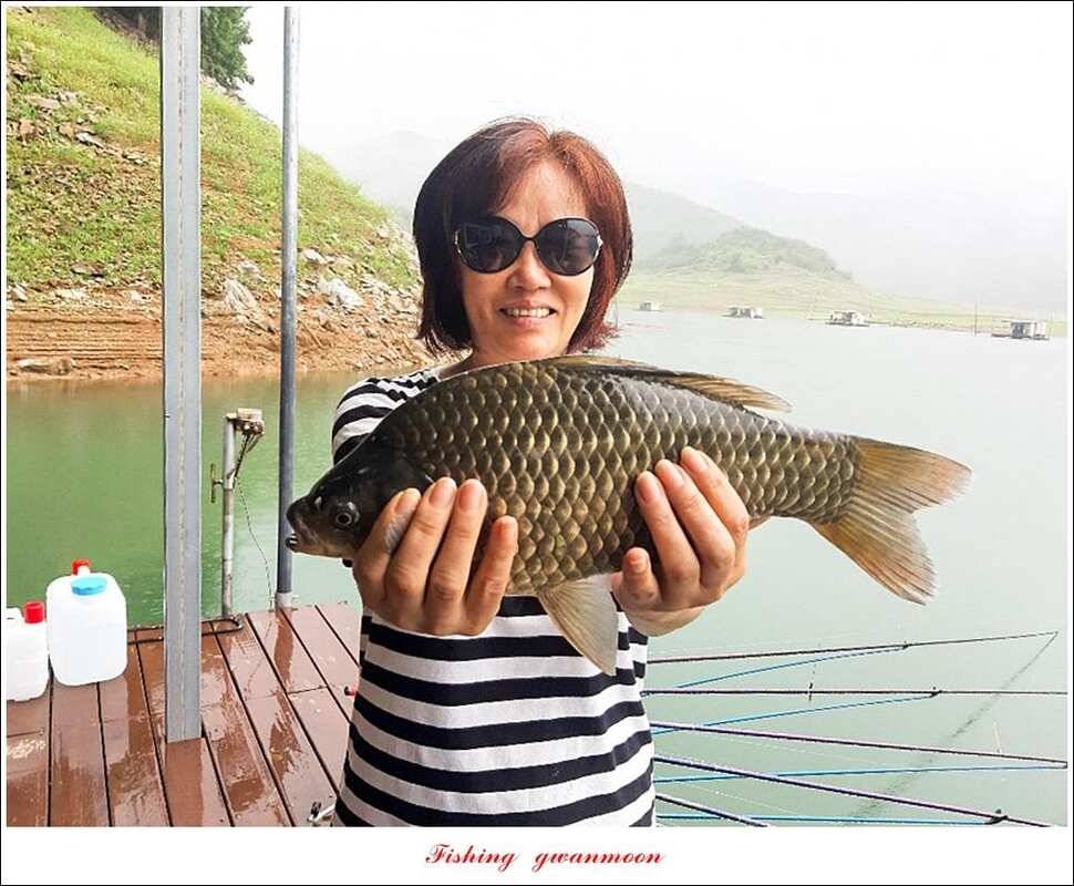 신매 385 cm돌감 385 cm38 cm38cm38cm (조황조행기 - 특파원조황)