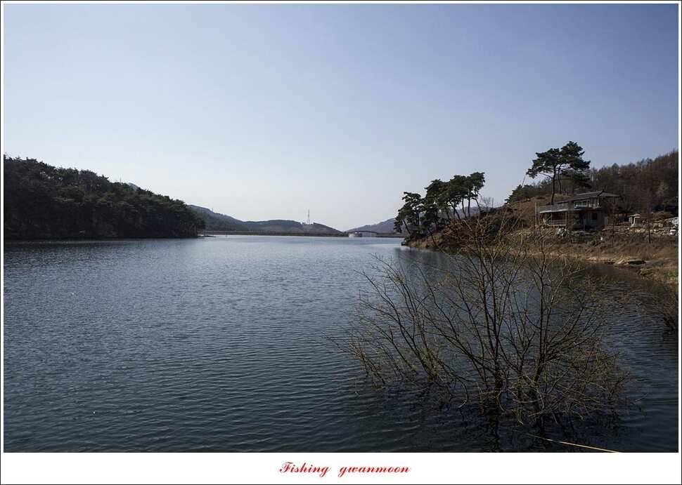 돌감 좌대추평지대제지 현황 (조황조행기 - 특파원조황)