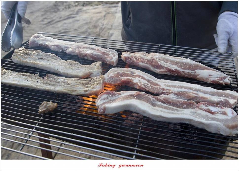 실리곡 4 짜신리 4 짜노지 4 짜 조황 (조황조행기 - 특파원조황)