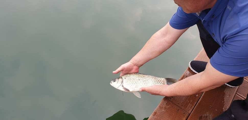솔 42 43cm 대물붕어 목벌에도 4짜 꽃바위 키로급장어 허리급 붕어조황 (조황조행기 - 특파원조황)