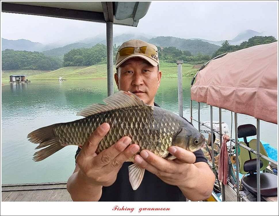 돌감 38 cm36 cm35 cm제일 낚시터 현황 (조황조행기 - 특파원조황)