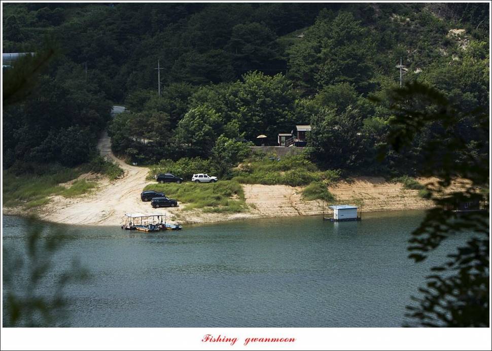 솔 4 짜 및 월척 조황 (조황조행기 - 특파원조황)