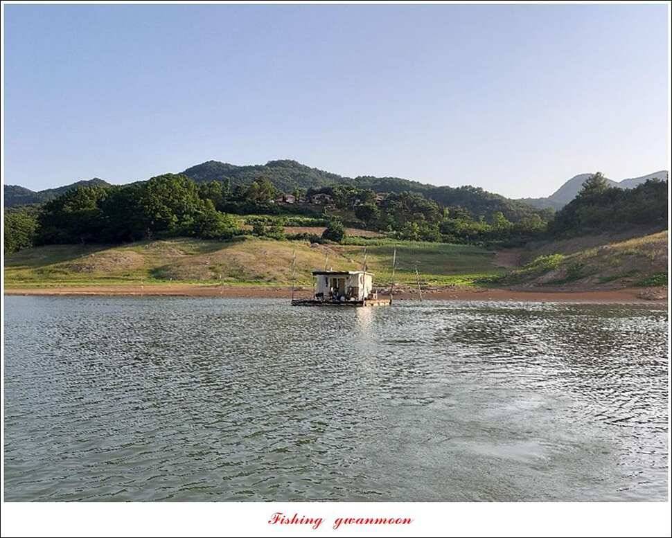 늘푸른 월척키로장어신매 월척돌감 월척 조황 (조황조행기 - 특파원조황)