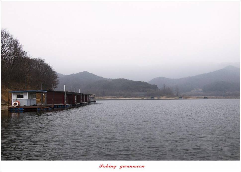 솔 4 짜 대물 조황 (조황조행기 - 특파원조황)