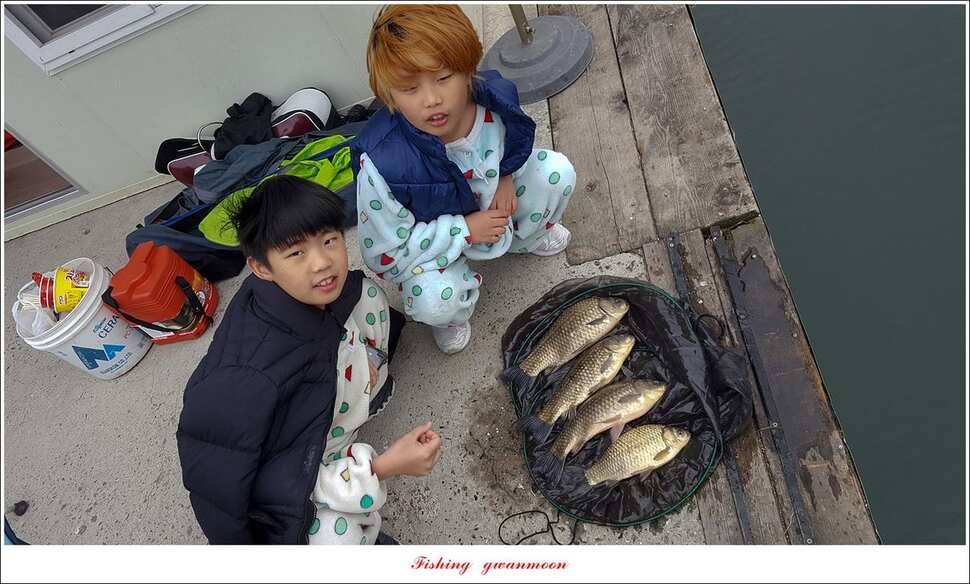 제일 39 cm 대물 조황화곡지칠성지 조황 (조황조행기 - 특파원조황)