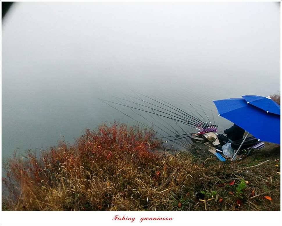 돌감 4 짜칠성지 월척 조황 (조황조행기 - 특파원조황)