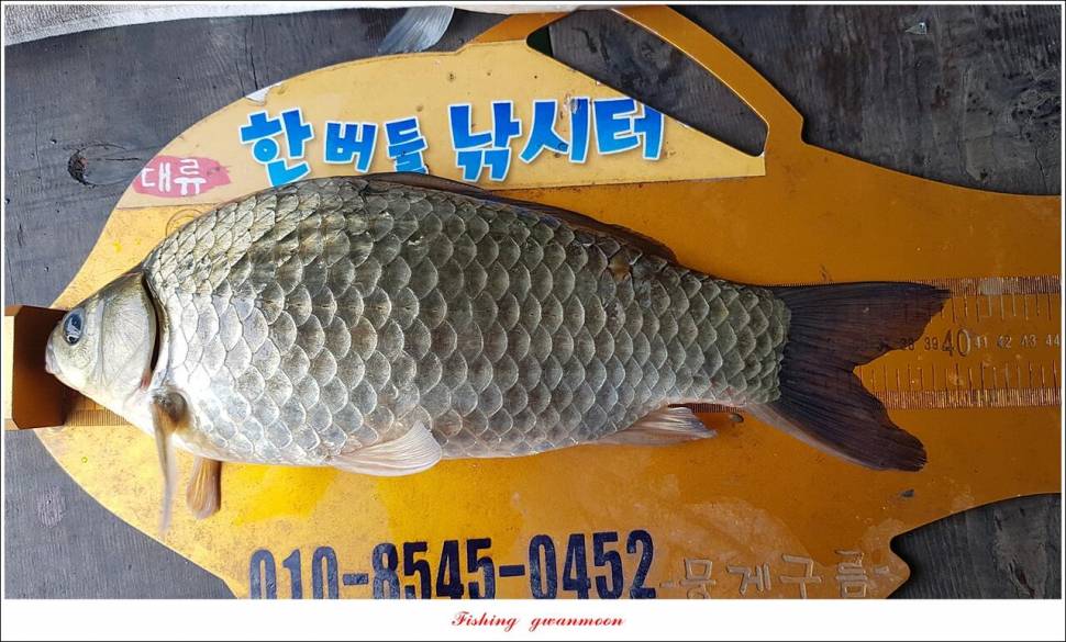 신리 4 짜 7 수실리곡 4 짜 4 수한버들 4 짜 3 수 (조황조행기 - 특파원조황)
