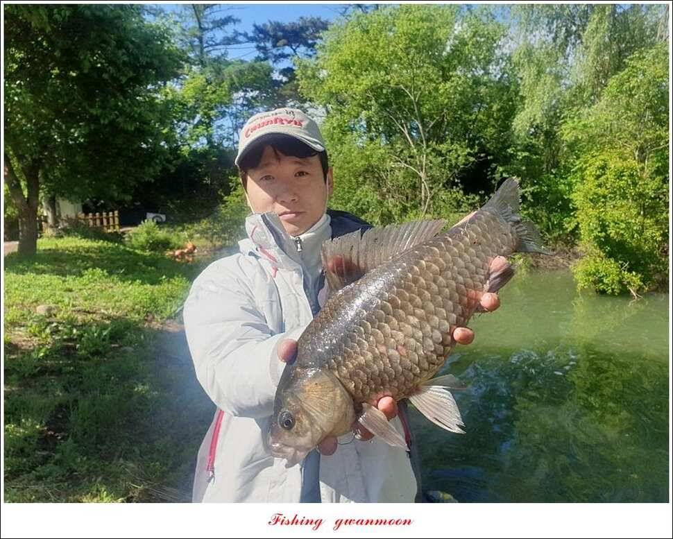 한버들 4 짜 2 수신리 4 짜실리곡 월척칠성지 4 짜 조황 (조황조행기 - 특파원조황)