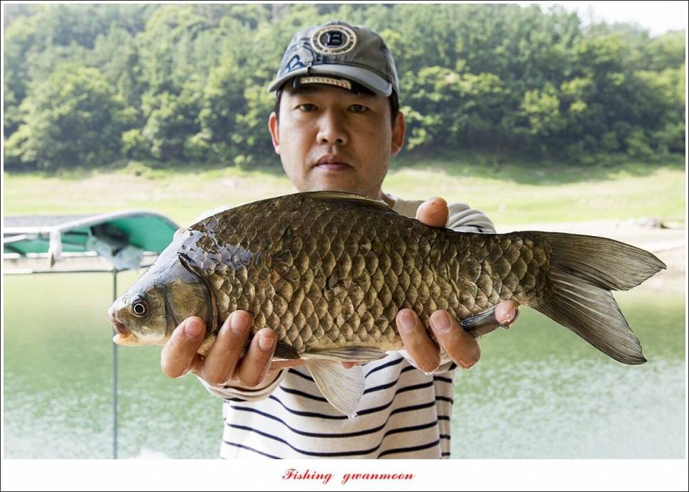 목벌 42 cm41 cm35 cm대물 조황 (조황조행기 - 특파원조황)