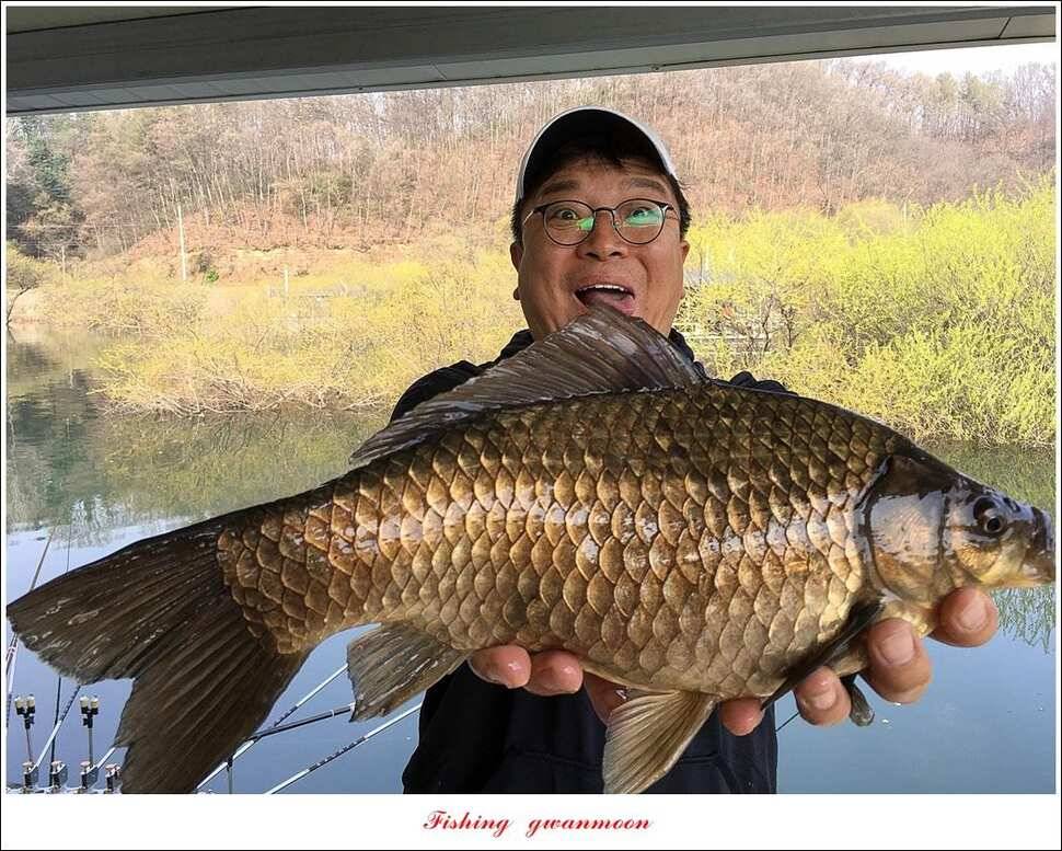 화곡지 사짜칠성지갈마늪대제지추평지 조황 (조황조행기 - 특파원조황)