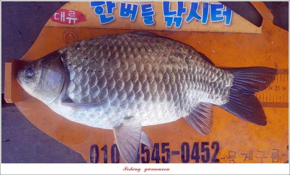 신리 4 짜 7 수실리곡 4 짜 4 수한버들 4 짜 3 수 (조황조행기 - 특파원조황)