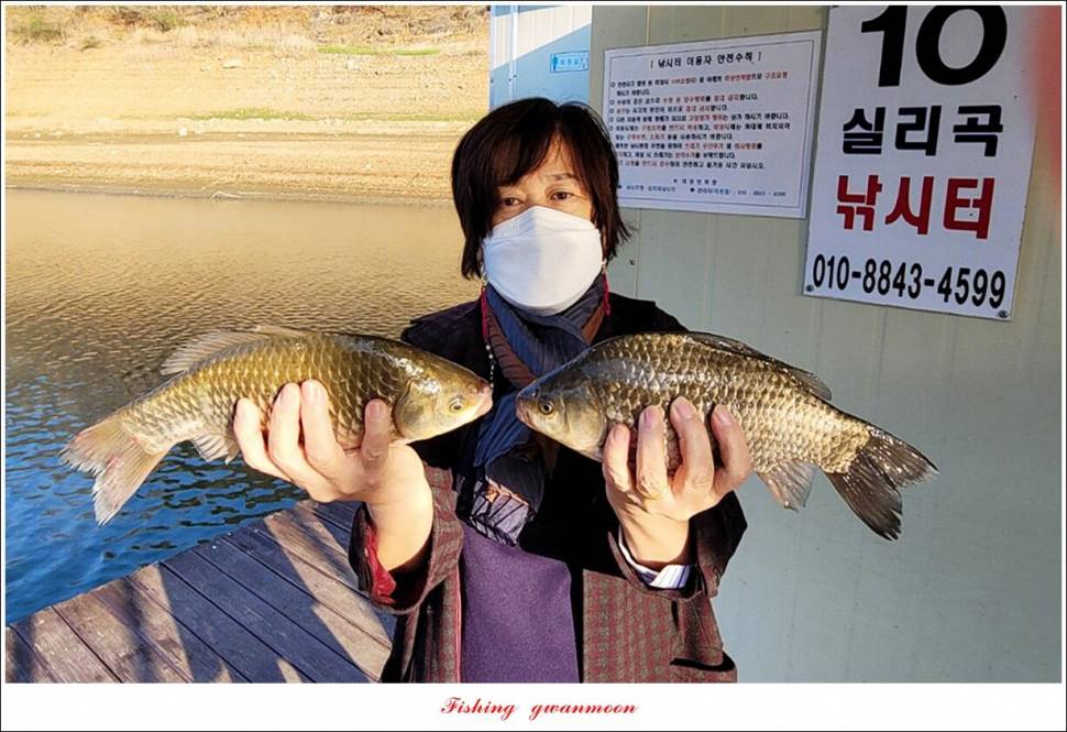 실리곡돌감 월척 조황 (조황조행기 - 특파원조황)