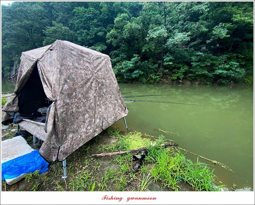 솔 낚시터 41 cm 대물화곡지 조황 (조황조행기 - 특파원조황)