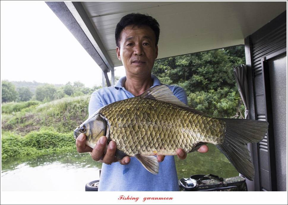솔 낚시터 41 cm 대물화곡지 조황 (조황조행기 - 특파원조황)