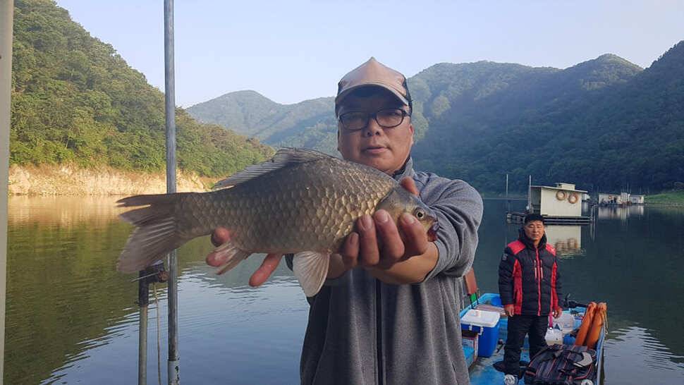 하천 4짜에 마릿수도 대박목벌도 4짜명서에도 꾸준한 조황 (조황조행기 - 특파원조황)