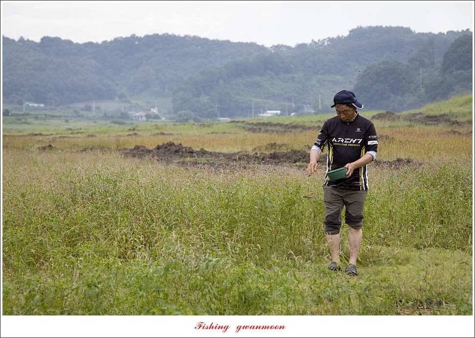 제일 맨바닥 낚시신매 38 cm38 cm36 cm칠성지 조황 (조황조행기 - 특파원조황)