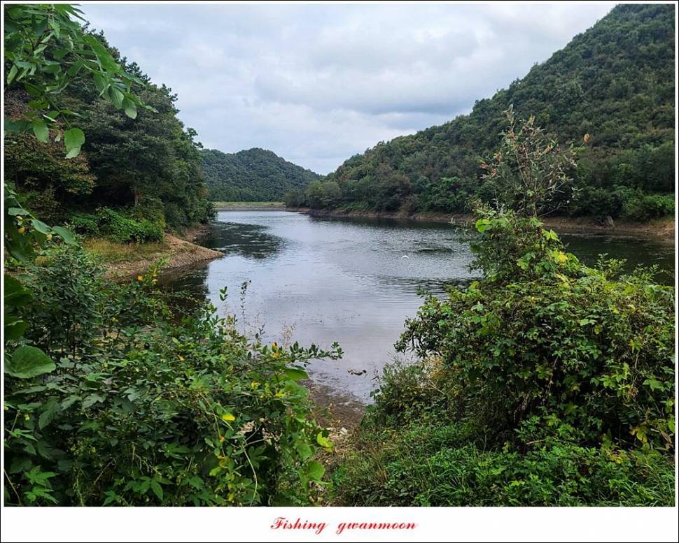 충주호 현황 및 화곡지 4 짜 조황 (조황조행기 - 특파원조황)