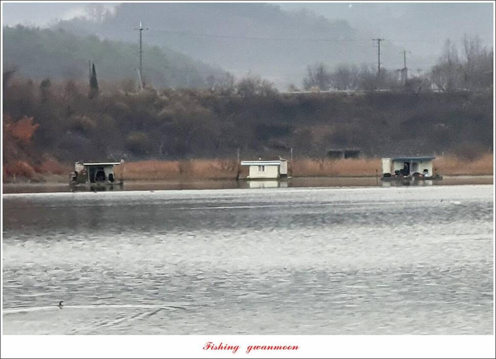 실리곡 4 짜신리 4 짜노지 4 짜 조황 (조황조행기 - 특파원조황)