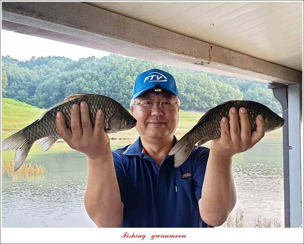 돌감 4 짜제일 39 cm38 cm37 cm칠성지 월척 조황 (조황조행기 - 특파원조황)