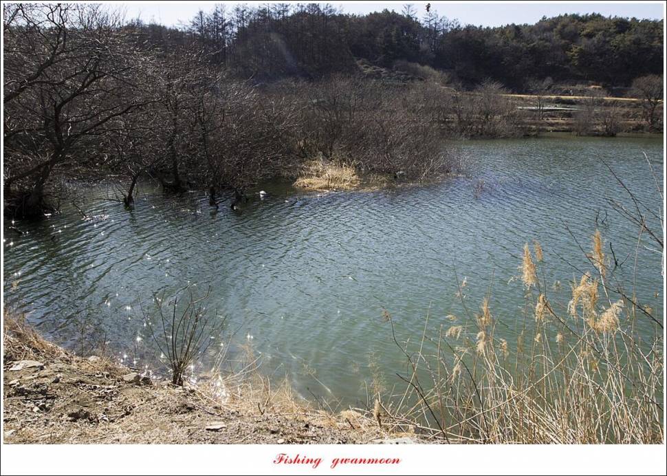 충주호 첫 월척칠성지매전지화곡지 오픈 (조황조행기 - 특파원조황)